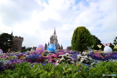 TDL