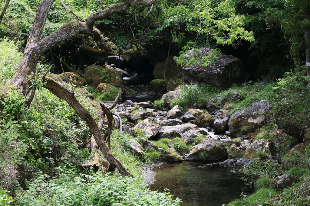 東京都御岳散策