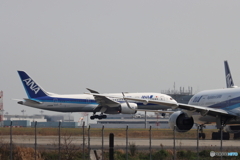 HANEDA