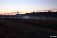 朝の多摩川