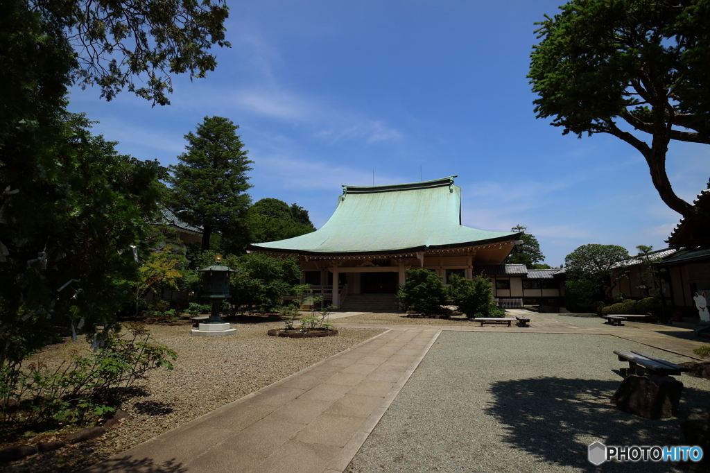 豪徳寺
