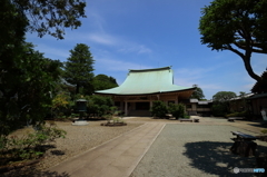 豪徳寺