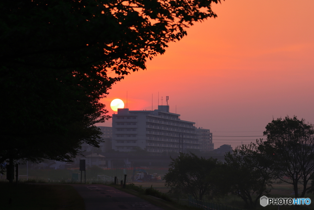 朝の多摩川