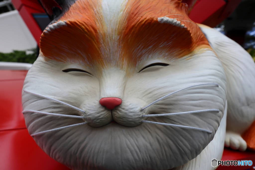 ディズニーリゾート