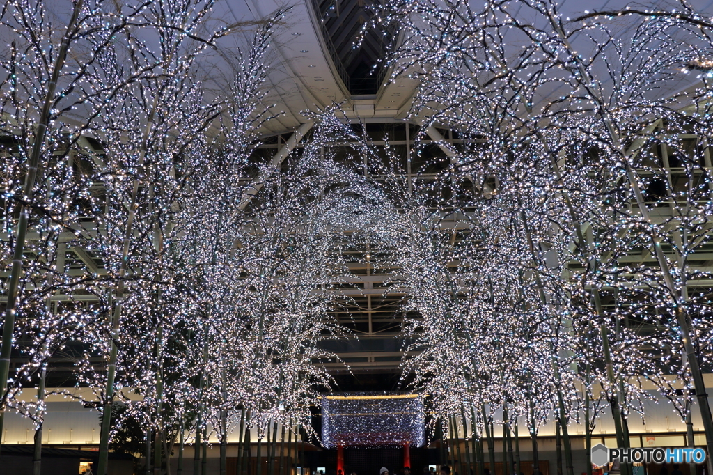 羽田空港３