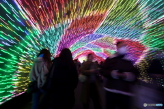 イルミネーション