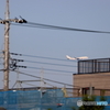 旅客機