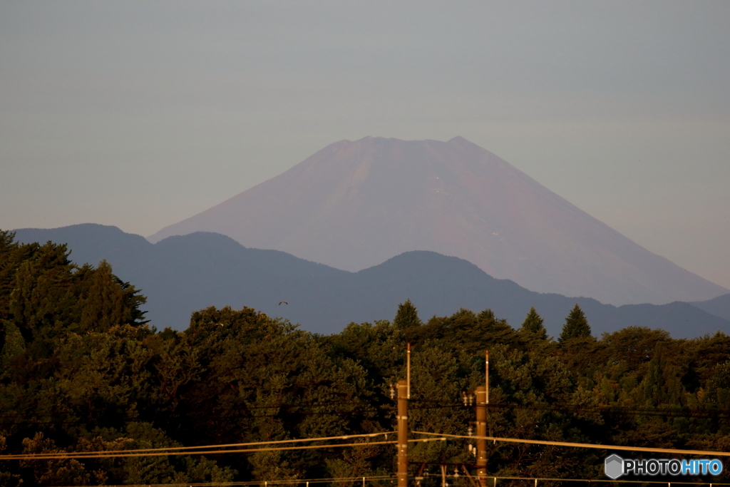 朝の多摩川