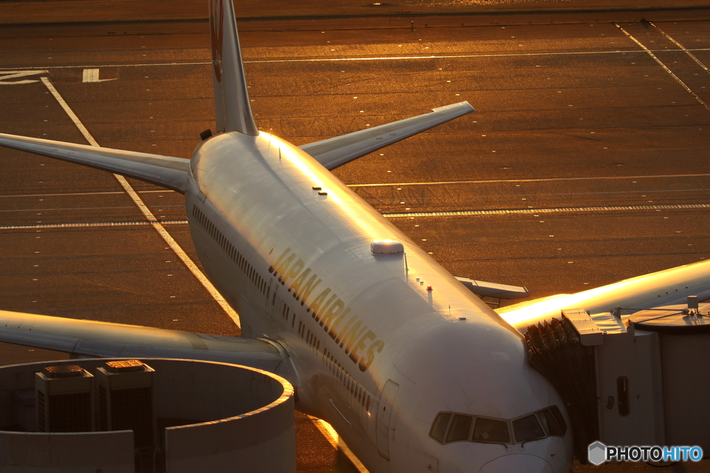 HANEDA