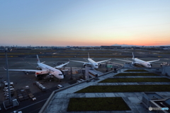 HANEDA