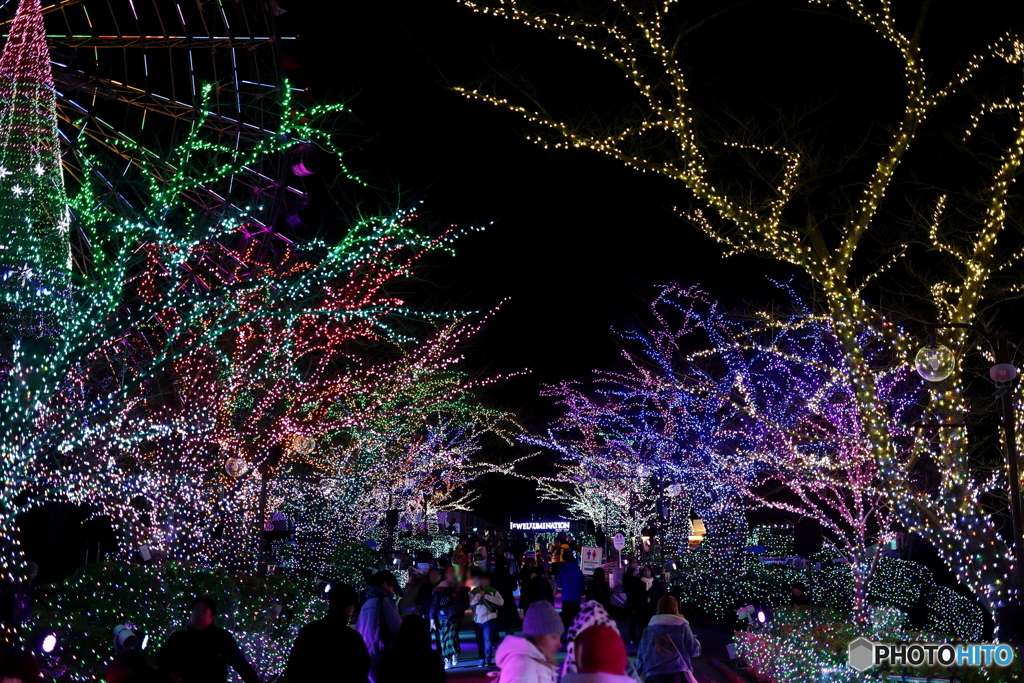 イルミネーション