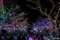 イルミネーション