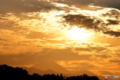 夕方の多摩川