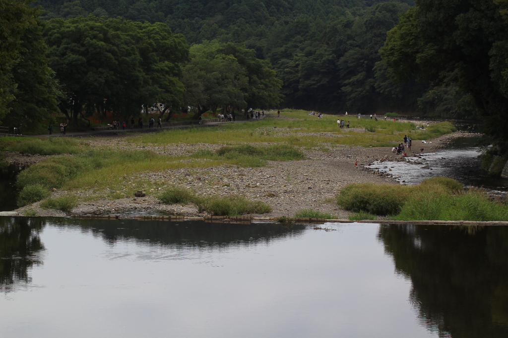 巾着田・高麗