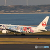 HANEDA