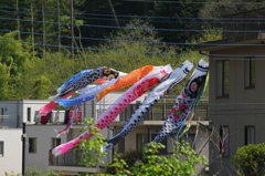 高尾山散策