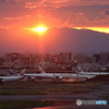 HANEDA