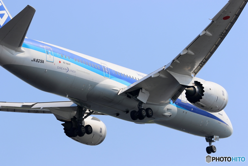 HANEDA