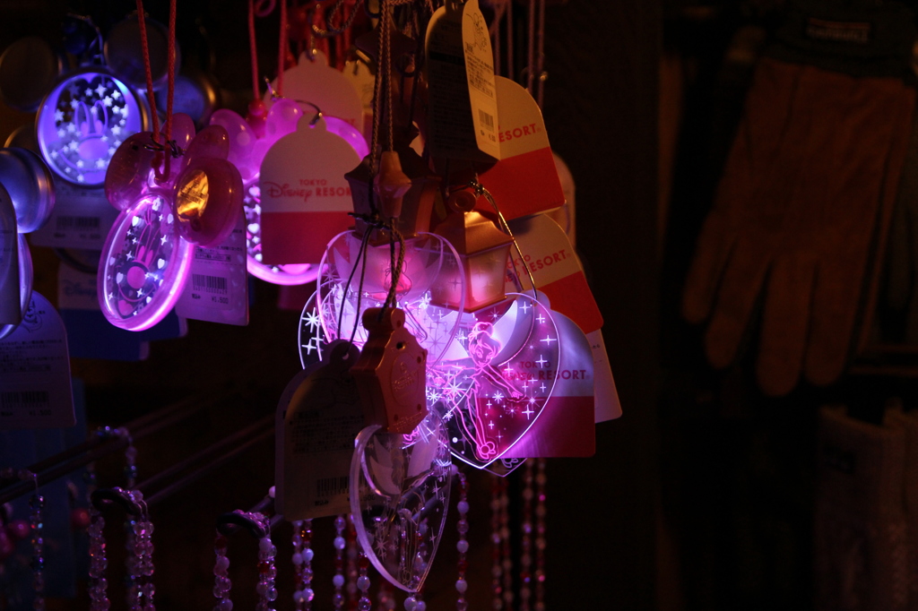 Tokyo　Disneyland