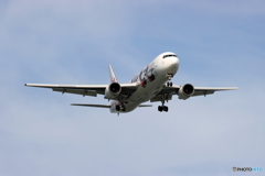HANEDA