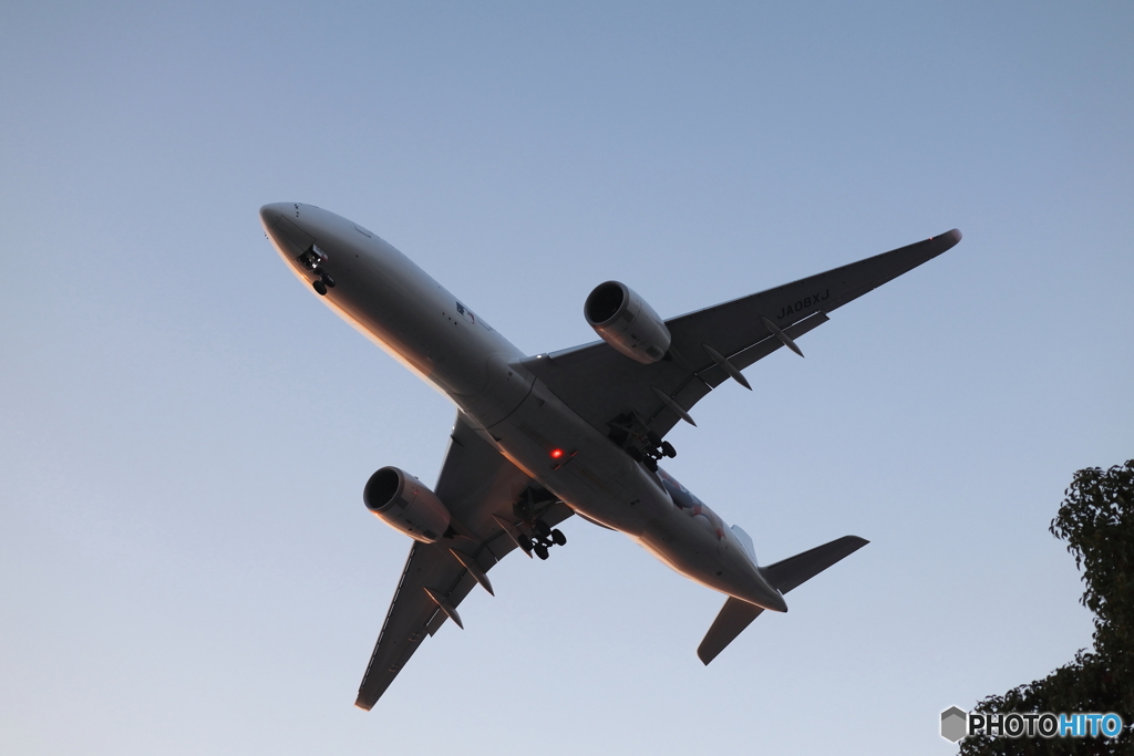 HANEDA