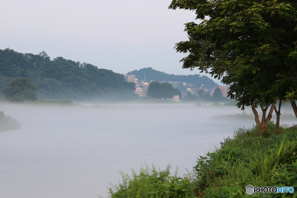 朝の多摩川