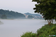 朝の多摩川