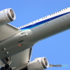 HANEDA