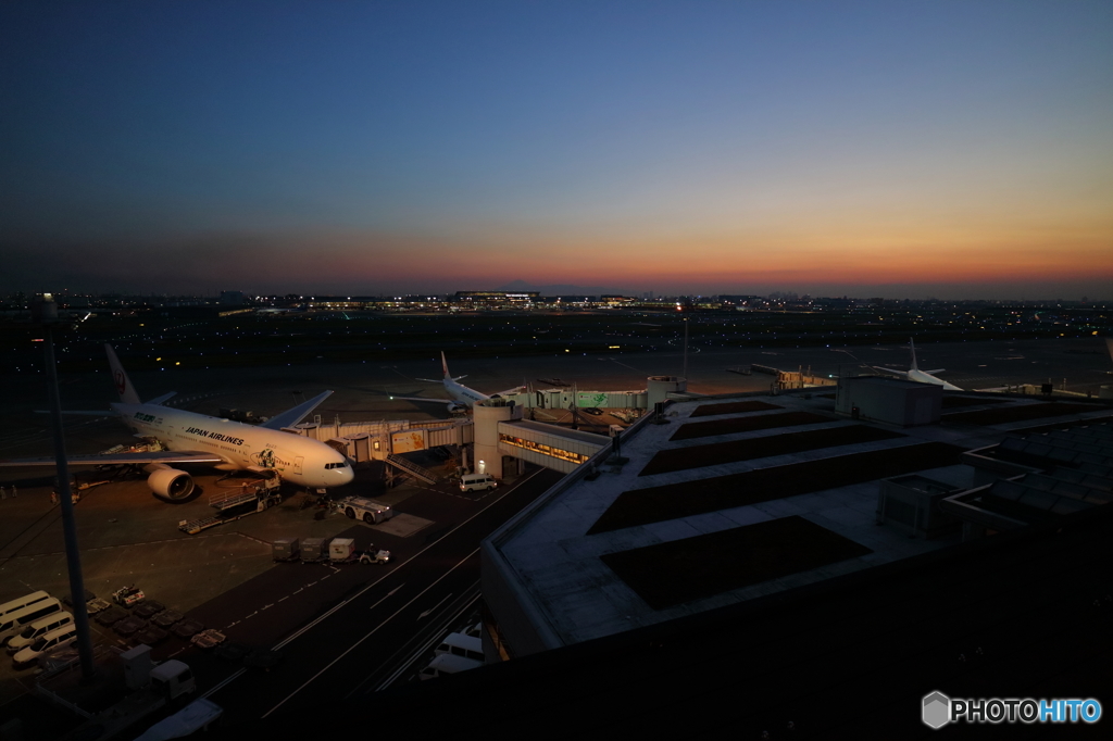 夕方の空港