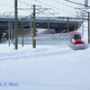 DSC02675_R