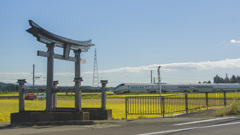 DSC03634