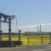 DSC03634