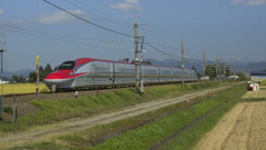 DSC03556
