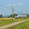 DSC03510