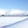 DSC02738_R
