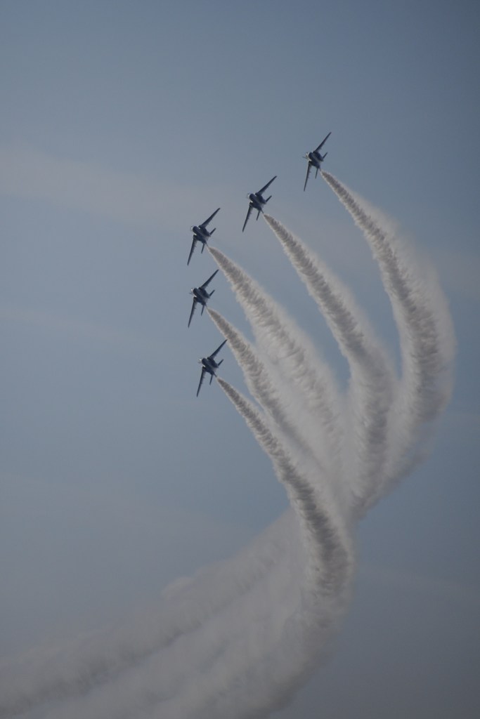 DSC_9991