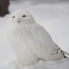 上から目線