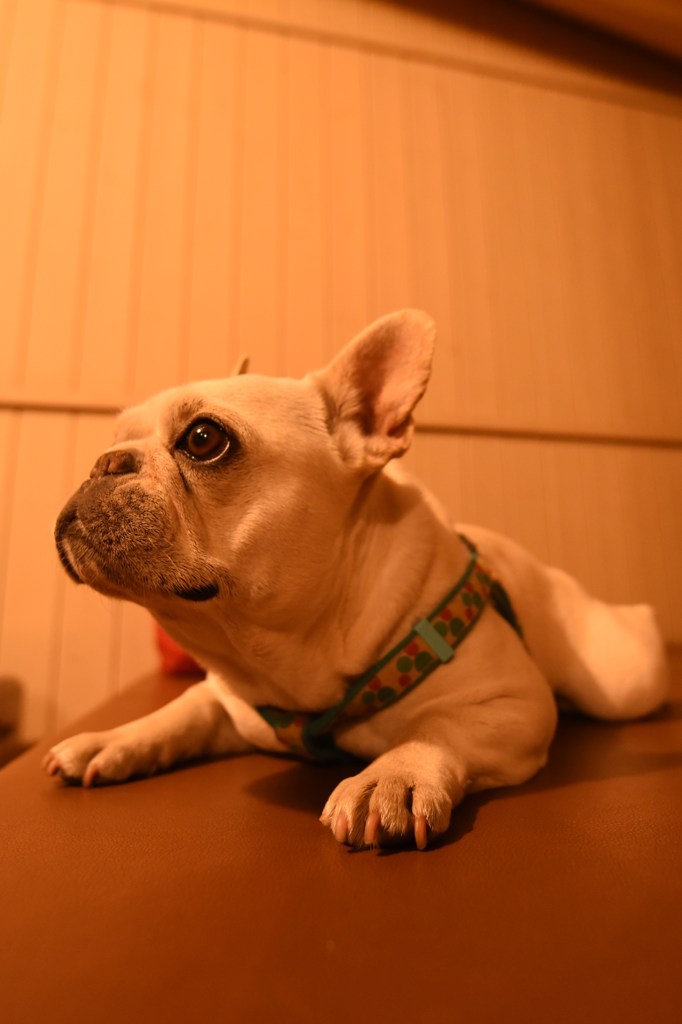 うるうる。。。