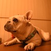うるうる。。。