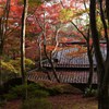 風情