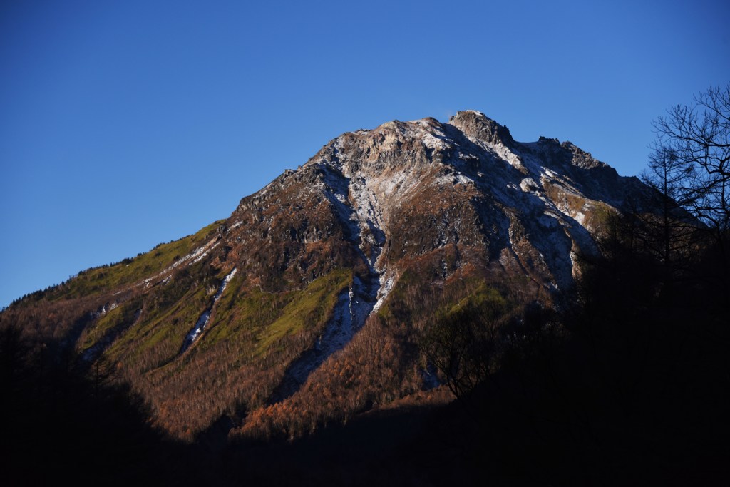 控えめの雪化粧
