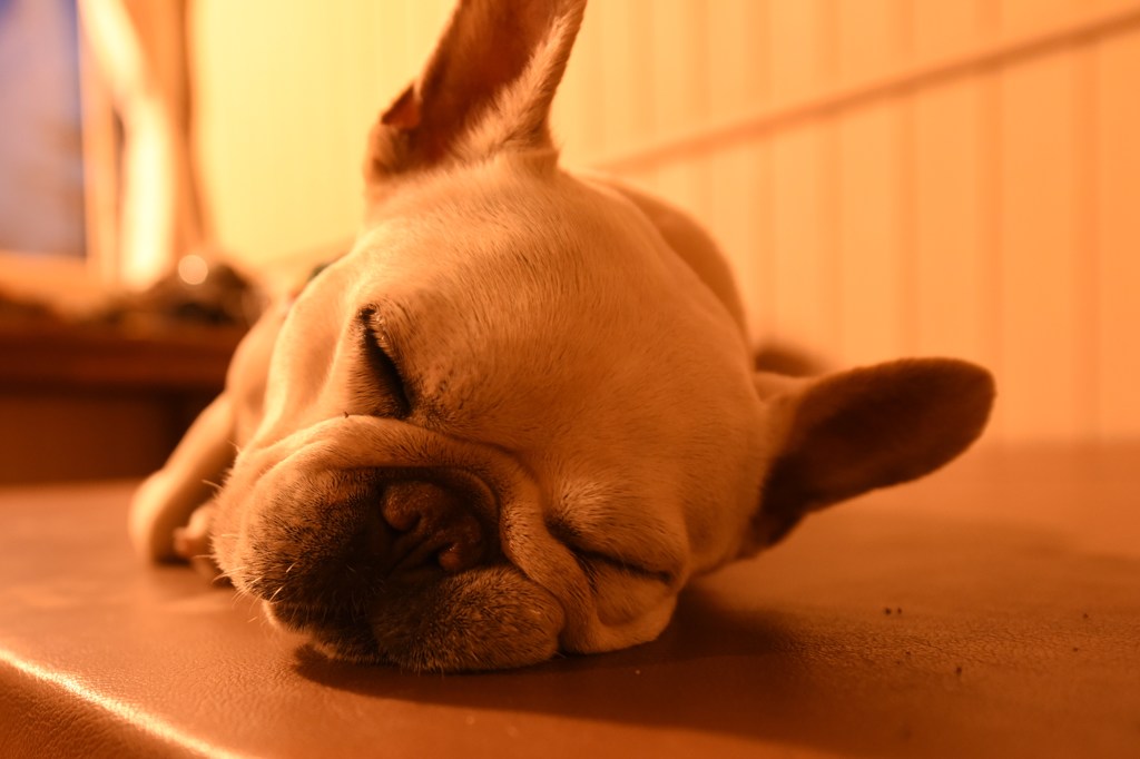 Zzz…