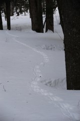 DSC_8959