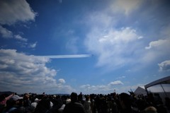 不死鳥のはずが…