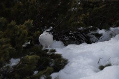 DSC_2567