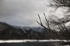 DSC_8933