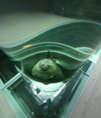 海の底から