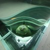 海の底から