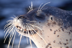 陽を浴びて