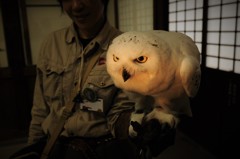 臨戦態勢